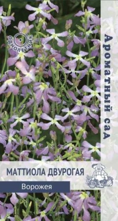 Поиск Маттиола Ворожея 0,3г