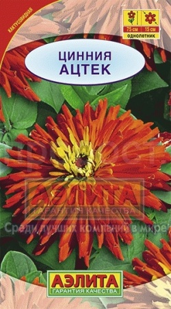 Аэлита Цинния Ацтек 0,3г