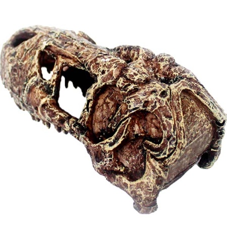 Грот Череп тираннозавра Nomoy Pet 14х7х6см/NMP-NS-111