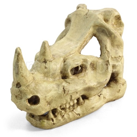 Грот Череп носорога Laguna 160*100*120мм 2802LD/Триол