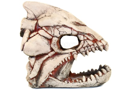 Грот Декси Скелет рыбы 902 20*10*19см/250826/АП