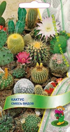Поиск Комн. Кактус смесь 0,1г