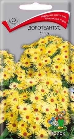 Поиск Доротеантус Еллоу 0,1г