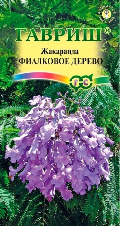 Гавриш Комн. Жакаранда Фиалковое дерево 3шт