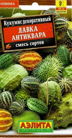 Аэлита Кукумис декоративный Лавка антиквара, смесь сортов 10шт