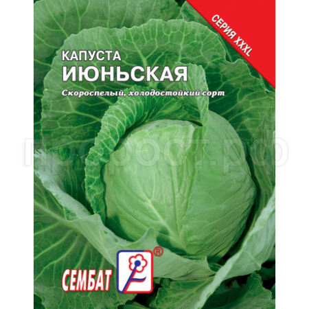 Сембат Капуста белокочанная Июньская 5г XXXL