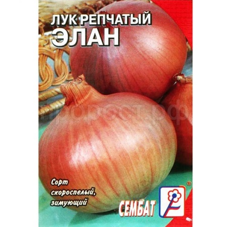 Сембат Лук репчатый Элан 0,3г ч/б