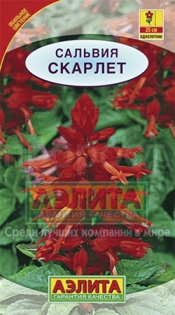 Аэлита Сальвия сверкающая Скарлет 0,1г