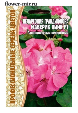 Редкие растения Пеларгония грандифлора Маверик Пинк F1 3шт