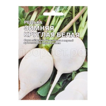 Редька Зимняя круглая белая10г XXXL