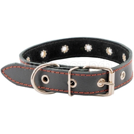 Ошейник кожа 30мм ЧИП натурал кожа простроч.до 52см черный/51030черн/Дарэлл