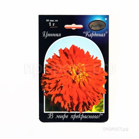 Каприс Цинния Кардинал 20*1