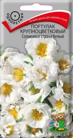 Поиск Портулак Солнечная страна белый 0,1г