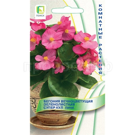 Поиск Комн. Бегония вечноцветущая зеленолистная Супер Кул Пинк 10шт