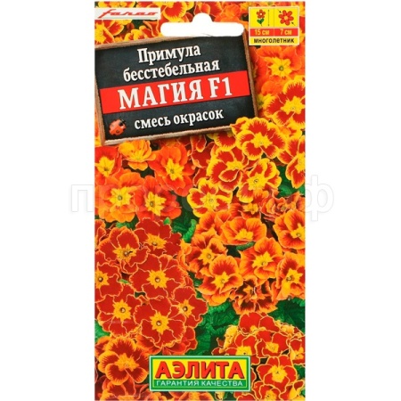 Аэлита Примула Магия F1, смесь окрасок 7шт