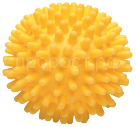 Игрушка с Мяч виниловый Игольчатый д/средних пород 6,5см/С2342//ЗР