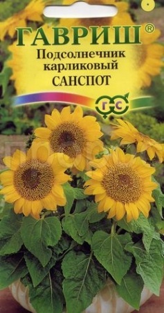 Гавриш Подсолнечник Санспот карликовый  0,5 г