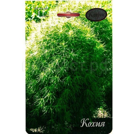 Каприс Кохия Королевский замок 20*1