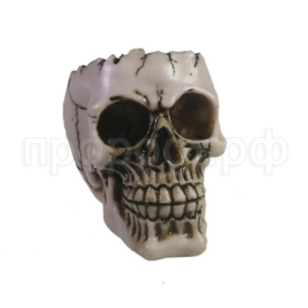 Фигура Череп L14W10H11см 715335