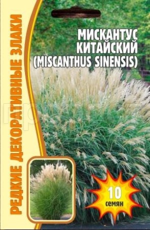 Редкие растения Мискантус китайский  (Miscanthus sinensis) 0.01г