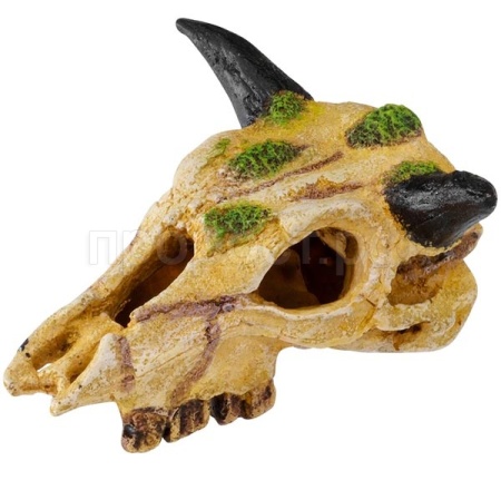 Грот AQUA DELLA Череп буйвола бежево-зелёный S 22см (Бельгия) 236/463819