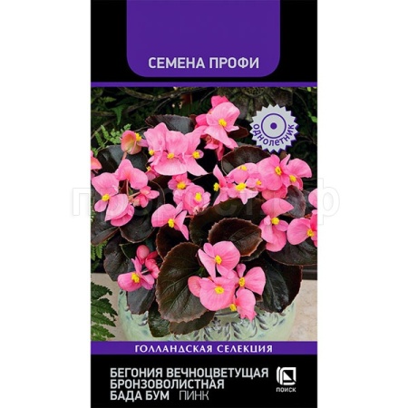 Поиск Комн. Бегония вечноцветущая бронзоволистная Бада Бум Пинк 15шт