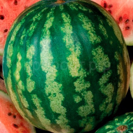 Гавриш Фермерская Арбуз Медовый вкус 25 гр 