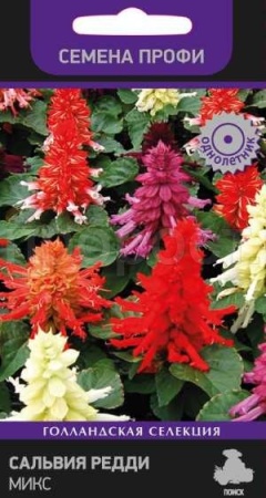 Поиск Сальвия Редди Микс 10шт 