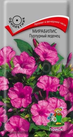 Поиск Мирабилис Пурпурный леденец 1г