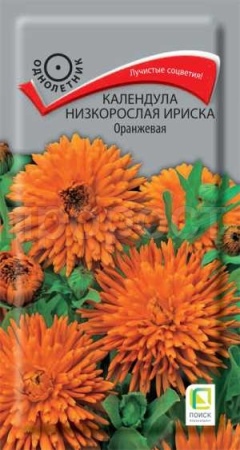 Поиск Календула Ириска Оранжевая 10 шт