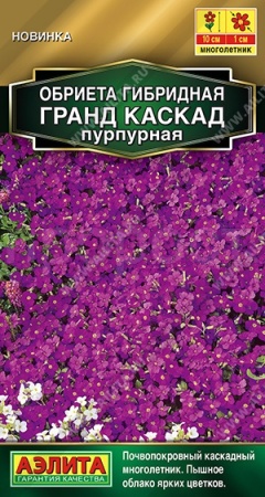 Аэлита Обриета Гигантский каскад пурпурная 0,05г 
