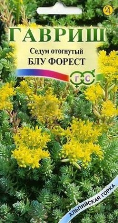 Гавриш Седум отогнутый Блу Форест 0,01г