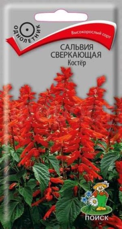 Поиск Сальвия сверкающая Костер 0,1г