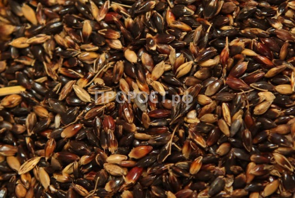 Сидерат Суданская трава 0,5кг