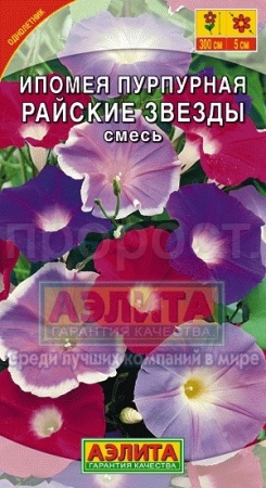 Аэлита Ипомея Райские звезды пурпурная смесь 0,5г